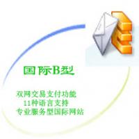 国际B型